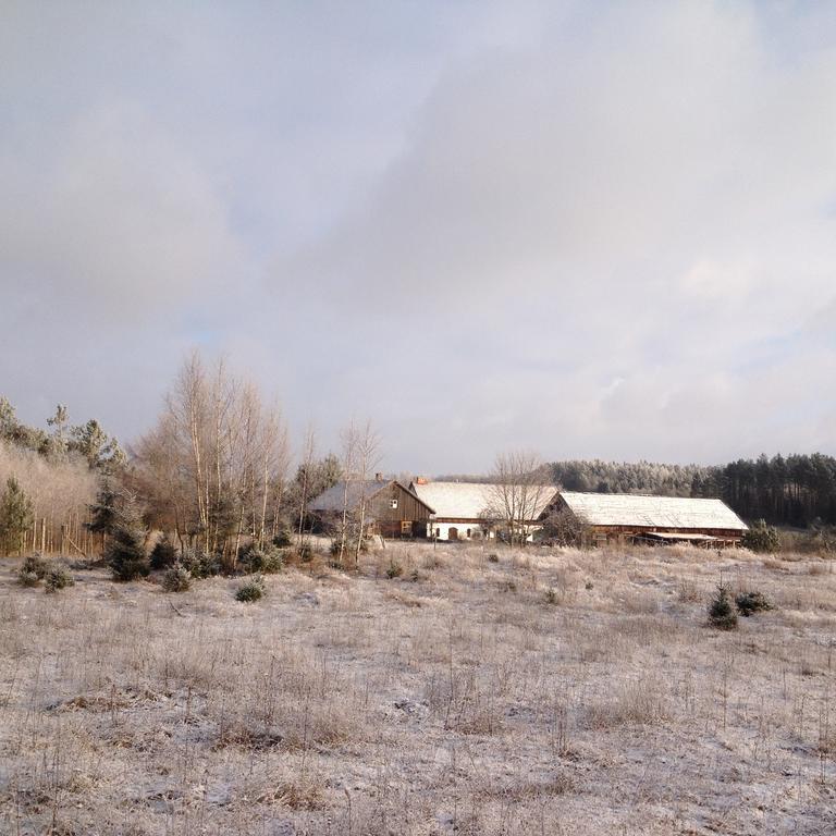 Jablkowo-Na Skraju Puszczy Boreckiej Sniadania W Cenie Jablonowo Exterior foto
